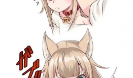 猫娘动漫,萌动时光，探寻虚拟与现实的奇幻之旅